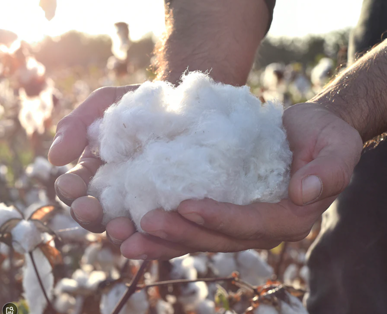 Organic Cotton Guide for Knitted Scarves & Beanies