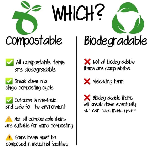 Biodegradable vs Compostable Textiles Guide for Knitted Scarves & Beanies